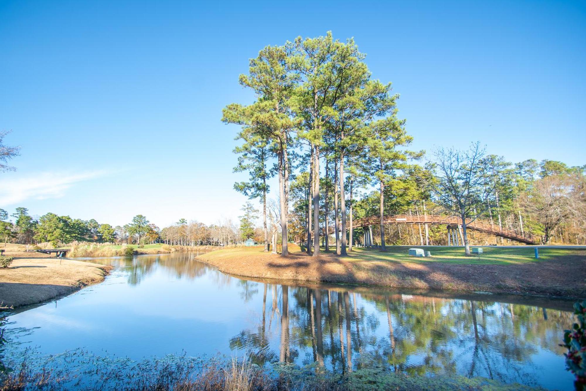 River Oaks 15-G By Palmetto Vacation Rentals شاطئ ميرتل المظهر الخارجي الصورة